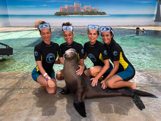 dolphins-8.jpg
